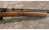 CZ Model 452 2e zkm .17 hmr - 4 of 10