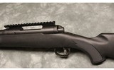 Savage ~ Model 10 ~ .308 - 8 of 10