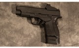 SPRINGFIELD ARMORY ~ XDS-9 MOD 2 ~ 9MM - 2 of 2
