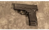 SPRINGFIELD ARMORY ~ XDS-9 ~ 9MM - 2 of 2
