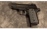 KIMBER ~ MICRO 9 ~ 9MM - 2 of 2