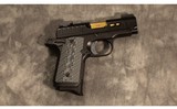 KIMBER ~ MICRO 9 ~ 9MM - 1 of 2