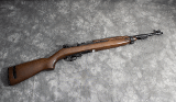 CHIAPPA ~ M1-22 ~ .22 LONG RIFLE
