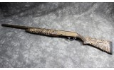 POINTER ~ PHENOMA ~ 12 GAUGE - 2 of 2 POINTER ~ PHENOMA ~ 12 GAUGE - 2 of 2