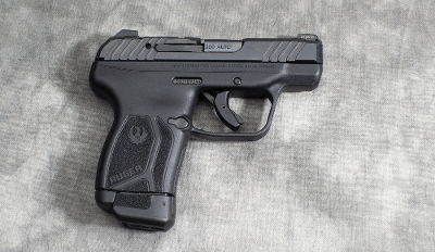 RUGER ~ LCP MAX ~ .380 AUTO