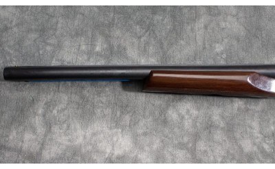 STOEGER ~ COACH GUN ~ 12 GAUGE - Image 8 of 10