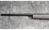 SAVAGE ~ 12 ~ .204 RUGER - 8 of 8