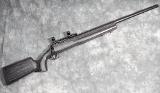 SAVAGE ~ 12 ~ .204 RUGER - 1 of 8