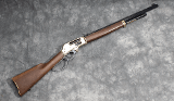 HENRY ~ H010BG ~ .45-70 - 1 of 8