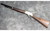 HENRY ~ H010BG ~ .45-70 - 2 of 8