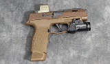 SIG SAUER ~ P365 ~ 9MM LUGER - 1 of 2