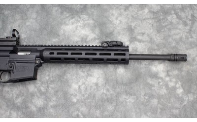 SMITH & WESSON ~ M&P15-22 ~ .22 LONG RIFLE - Image 4 of 6