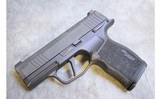 Sig Sauer ~ P365X ~ 9mm - 2 of 5