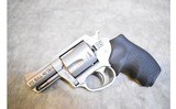 Charter Arms ~ Pit Bull ~ .40 S&W - 2 of 4