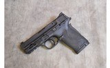 Smith & Wesson ~ M&P 380 Shield EZ M2.0 ~ .380 Auto