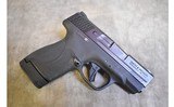 Smith & Wesson ~ M&P9 Shield Plus