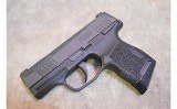 Sig Sauer ~ P365 ~ 9mm - 1 of 3