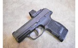 Sig Sauer ~ P365 ~ .380/9mm Kit - 2 of 5