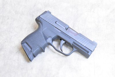 Sig Sauer ~ P365 ~ 9mm