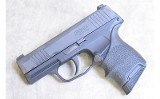 Sig Sauer ~ P365 ~ 9mm - 2 of 4