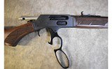 Henry ~ H010G ~ .45-70 Government - 4 of 8