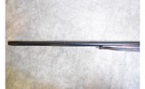 CZ ~ Ringneck ~ 20 Gauge - 8 of 8