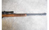 Glenfield ~ Model 60 ~ .22LR - 7 of 7