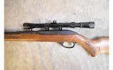 Glenfield ~ Model 60 ~ .22LR - 3 of 7