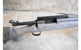 Remington ~ 700 AAC-SD ~ .308 Winchester - 3 of 6