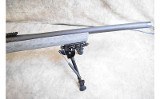 Remington ~ 700 AAC-SD ~ .308 Winchester - 5 of 6