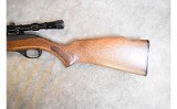 Glenfield ~ Model 60 ~ .22LR - 5 of 7