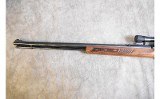 Glenfield ~ Model 60 ~ .22LR - 4 of 7
