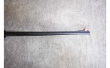 Henry ~ H002B AR-7 ~ .22LR - 4 of 5