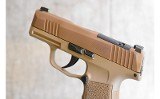 Sig Sauer ~ P365 ~ 9mm - 4 of 4