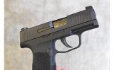 Sig Sauer ~ P365 ~ 9mm - 3 of 4