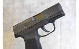Sig Sauer ~ P365 SAS ~ 9mm - 3 of 4