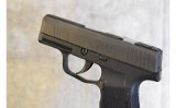 Sig Sauer ~ P365 SAS ~ 9mm - 4 of 4