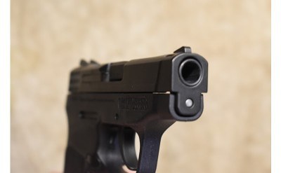 Smith & Wesson ~ Bodyguard 380 ~ .380 Auto - Image 3 of 4