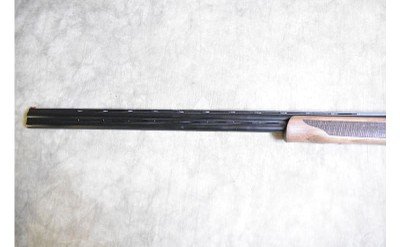 Pointer ~ Acrius ~ .410 Gauge - Image 3 of 8