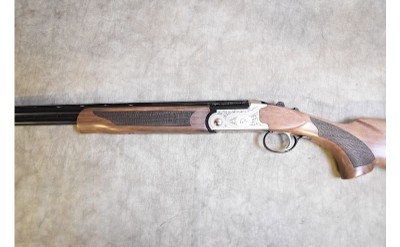 Pointer ~ Acrius ~ .410 Gauge - Image 4 of 8