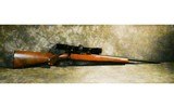 Ruger ~ 77/22 ~ .22 Long Rifle