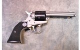RUGER WRANGLER 22LR - 1 of 3