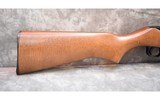Ruger 10/22 - 5 of 10