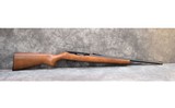 Ruger 10/22 - 1 of 10