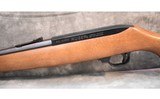Ruger 10/22 - 8 of 10