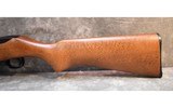 Ruger 10/22 - 9 of 10