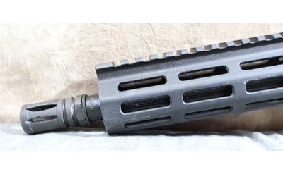 APF 300 blackout - Image 6 of 10