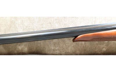 CZ Sharp-Tail Target - Image 8 of 11