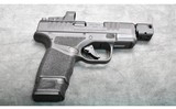 SPRINGFIELD ARMORY HELLCAT 9MM - 1 of 2