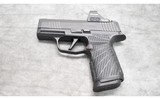 SIG SAUER P365X 9MM - 2 of 2
